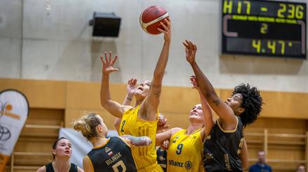Premiere. Albas Frauen hoffen auf eine große Kulisse am Samstag.