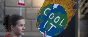 Klima-Protest, hier von links. Eine junge Frau demonstriert am globalen Aktionstag von Fridays for Future in der Dresdener Innenstadt für mehr Klimaschutz.