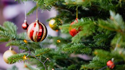 Ein Weihnachtsbaum (Symbolbild). 