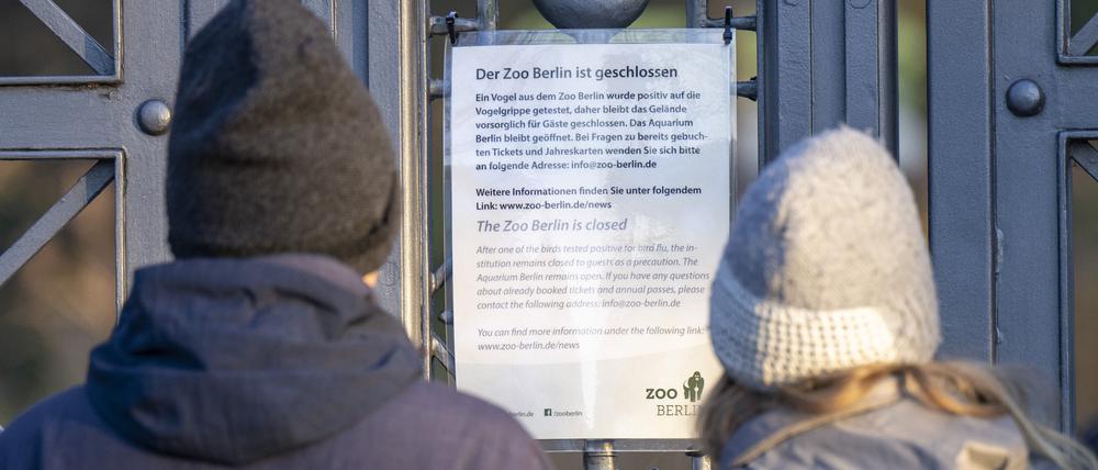 Der Zoologische Garten in Berlin ist wegen eines Falls von Geflügelpest auf unbestimmte Zeit geschlossen.
