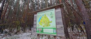Potsdams Wälder sind in einem schlechten Zustand.