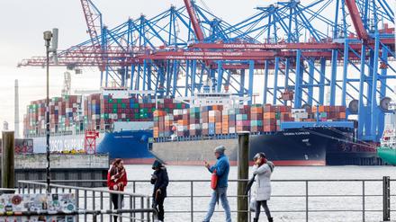 Containerschiffe liegen im Hamburger Hafen am Terminal Tollerort.