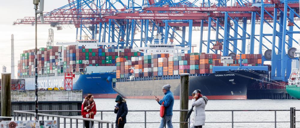 Containerschiffe liegen im Hamburger Hafen am Terminal Tollerort.