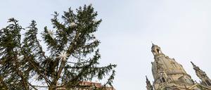 Vor der Frauenkirche in Dresden sorgt eine Fichte derzeit im Internet für Spott und Gelächter.