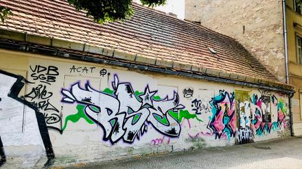 Gartenmuseum statt Graffiti. In diesem sanierungsbedürftigen Haus soll bis 2025 ein kleines Museum entstehen.