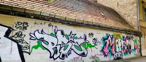 Gartenmuseum statt Graffiti. In diesem sanierungsbedürftigen Haus soll bis 2025 ein kleines Museum entstehen.