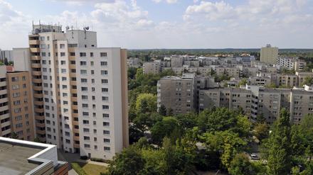 Plattenbau West. Die Rollbergesiedlung in Reinickendorf.