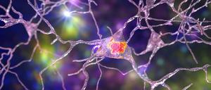 Neuronen im Gehirn.