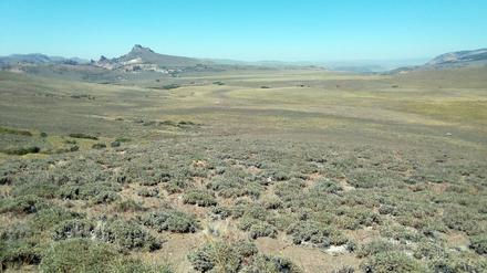 Weideland in Patagonien