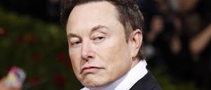 Twitter-Chef Elon Musk spricht von Amnestie.