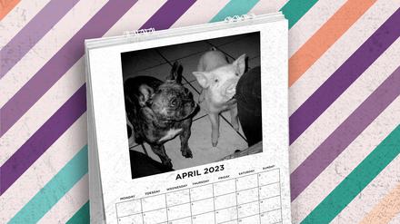 Fotografin Verena Frye beschert uns einen kitschlosen Hundekalender.