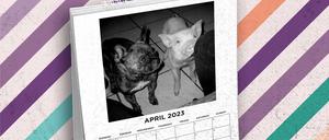 Fotografin Verena Frye beschert uns einen kitschlosen Hundekalender.