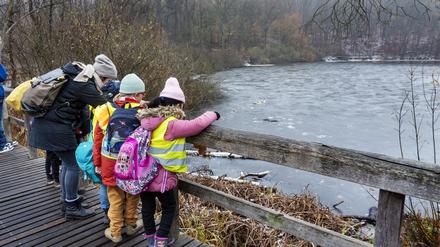 Kinder einer Lichtenberger Schule bei eine Exkursion in der Waldschule Teufelssee in Berlin-Müggelheim.