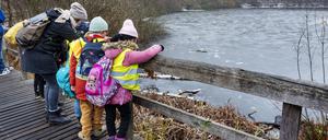 Kinder einer Lichtenberger Schule bei eine Exkursion in der Waldschule Teufelssee in Berlin-Müggelheim.