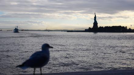 Auf dem Weg zum Sehnsuchtsort: New York.