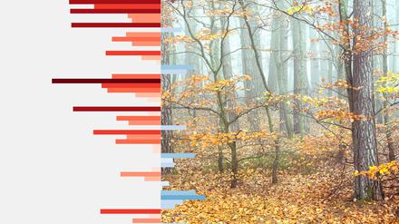 Bis zu 20 Grad: In Deutschland war der November zu warm.