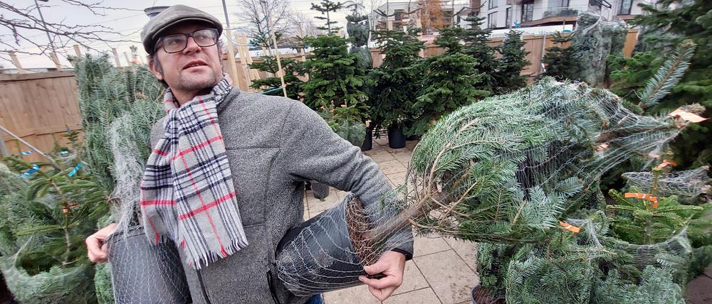 Landschaftsgärtner Andreas Frædrich bietet in seinem „Weihnachtsurwald“ an der Potsdamer Biosphäre nachhaltige Weihnachtsbäume im Topf und zur Miete an.
