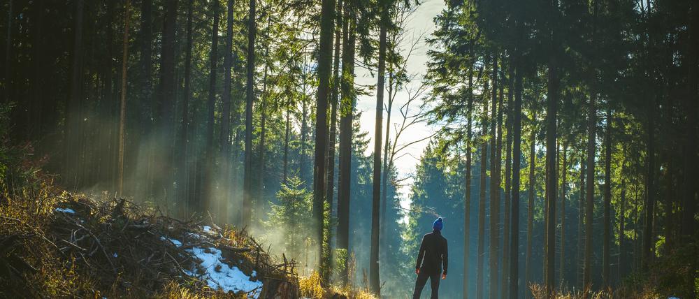 Zeit in der Natur kann das Risiko von Asthma, Allergien, Diabetes und Herz-Kreislauf-Erkrankungen verringern.