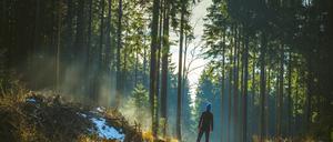 Zeit in der Natur kann das Risiko von Asthma, Allergien, Diabetes und Herz-Kreislauf-Erkrankungen verringern. 