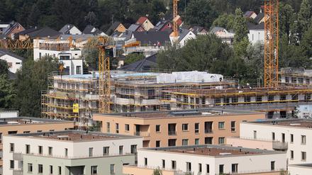 1634 Haushalte aus dem Potsdamer Stadtteil nahmen an der Umfrage teil.