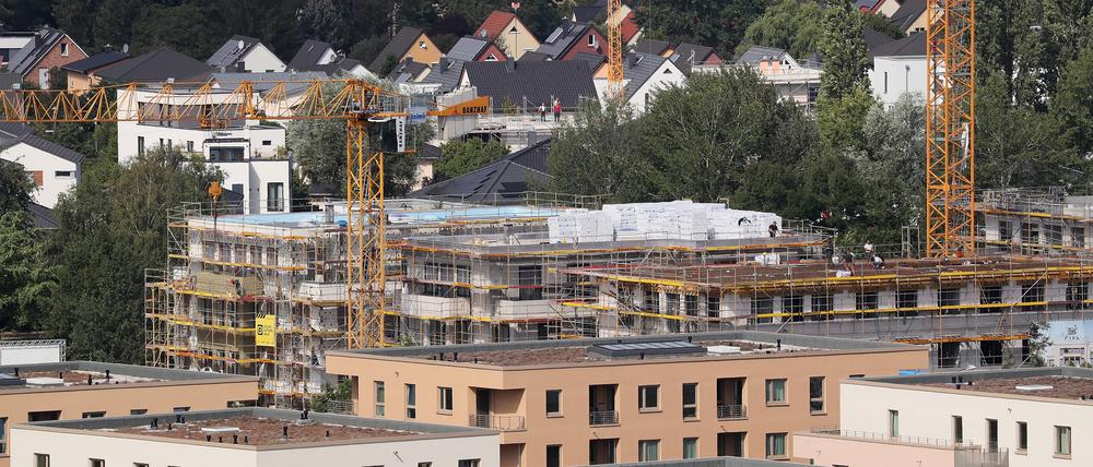 1634 Haushalte aus dem Potsdamer Stadtteil nahmen an der Umfrage teil.