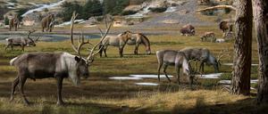Pleistozän-Landschaft im Permafrost mit Mammut, Pferd, Rentier, Bison und Moschustier (undatierte Darstellung). 