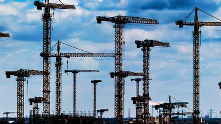 Blick auf Baukräne. Der Mindestlohn im Baugewerbe hat dazu geführt, dass sich auch Beschäftigte mit ähnlichen Jobs besser bezahlte Arbeit suchten.