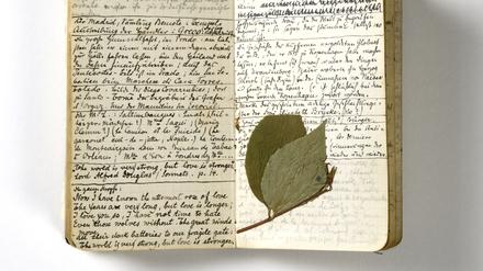 Das „Taschenbuch 13“ (1909-1911) enthält Notizen zu dem Roman „Die Aufzeichnungen des Malte Laurids Brigge“