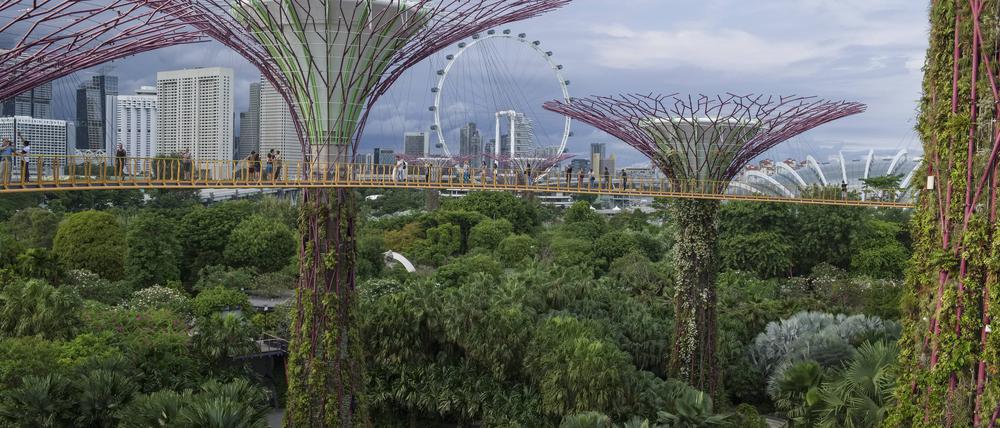 Viel Stadt mit ein wenig Gartenbeigabe. Die Bay Gardens in Singapur.