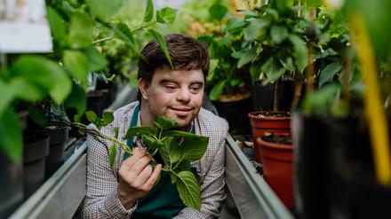 Menschen mit Behinderung finden oft keinen passenden Job.