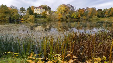 Am Hubertussee wurden elf Bäume gefällt.