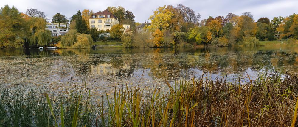 Mehr wilde Natur in Berlin, wie hier am Hubertussee, fordern Naturschützer. 