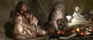 Feuer nutzt der Menschen und seine Vorfahren seit mindestens 1,5 Millionen Jahren. Umstritten ist, wann sie anfingen zu kochen.