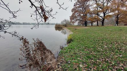 Die Stiftung Preußische Schlösser und Gärten Berlin-Brandenburg räumt im Schlosspark Babelsberg auf. 