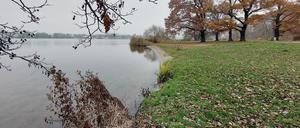 Die Stiftung Preußische Schlösser und Gärten Berlin-Brandenburg räumt im Schlosspark Babelsberg auf. 