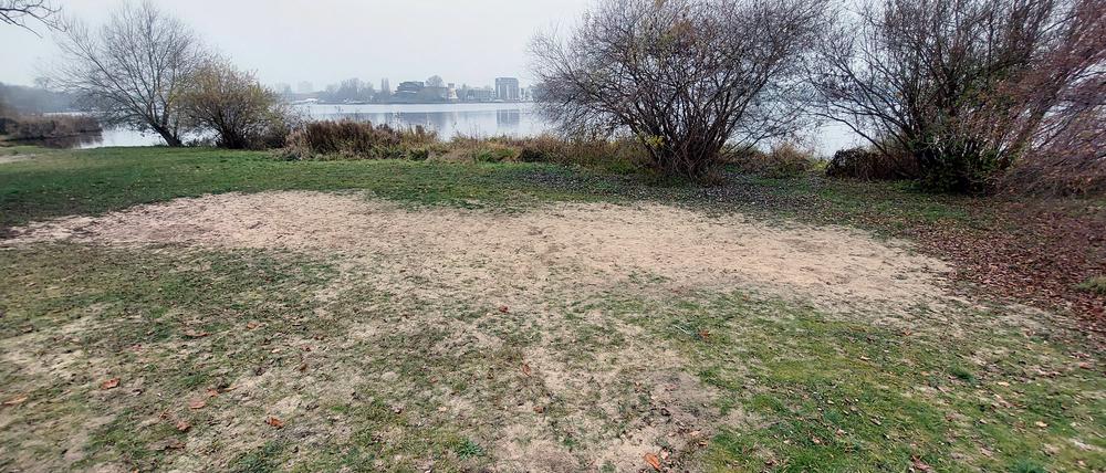 Einige Parkbereiche in Potsdam sind durch Übernutzung dauerhaft geschädigt - wie hier am Havelufer des Parks Babelsberg.