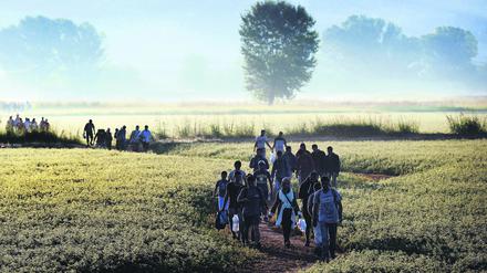 Griechenland 2015: Syrische Flüchtlinge auf ihrem Weg aus dem Krieg.