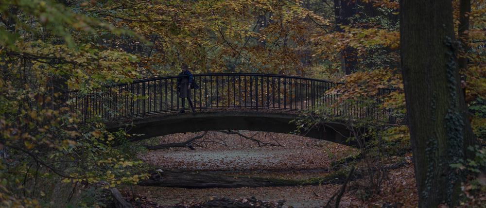 Ums Klima, Tiere und den Tierpark geht es in unserem Lichtenberg-Newsletter am Montag.
