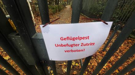 Ein Schild mit der Aufschrift „Gefügelpest. Unbefugter zutritt verboten!“ hängt an einem Tor am Zoo Berlin.