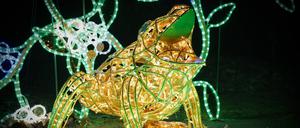 Magical Botanical Gaden Lights Exhibition In Warsaw A sculpture decorated with colored lights in the shape of a toad is seen in the botanical garden in Warsaw, Poland on 15 November, 2022. The botanical garden of the University of Warsaw is running a winter exhibition of light sculptures in the shapes of different animals and plants with LED lights that change colours in the Royal Baths park. Warsaw Masovian Voivodeship Poland PUBLICATIONxNOTxINxFRA Copyright: xSTRx originalFilename: arriens-magicalb221115_nppwI.jpg