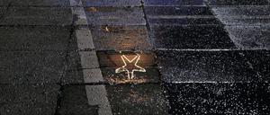 13,12,2021, Berlin - Deutschland. Ein Weihnachtsstern spiegelt sich in einer Pfütze. *** 13,12,2021, Berlin Germany A poinsettia reflected in a puddle