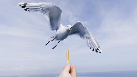Zwischen Missgunst und Selbstabwertung: Die Pommes in der Hand des anderen sind immer knuspriger.