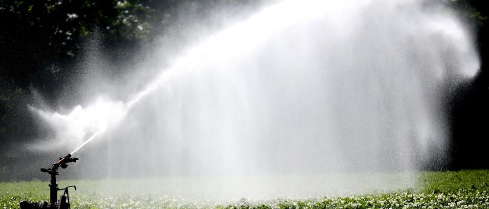 Recycelt: In Brandenburg werden Landschaften mit speziell aufbereitetem Abwasser bewässert.