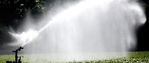 Recycelt: In Brandenburg werden Landschaften mit speziell aufbereitetem Abwasser bewässert. 