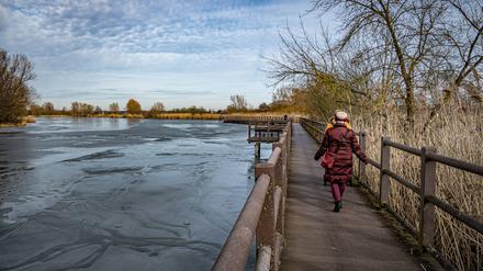 Am Brandenburger Mühlensee können Ausflügler Landluft schnuppern und dabei den Blick aufs Wasser genießen. 