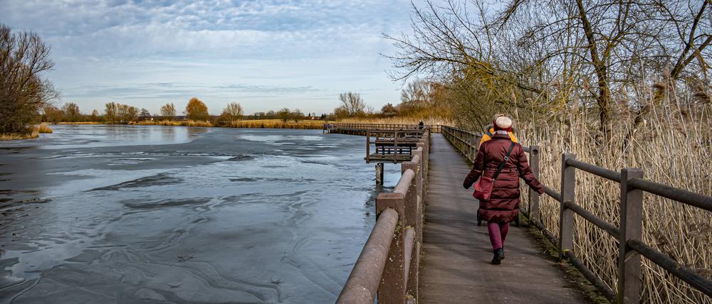 Am Brandenburger Mühlensee können Ausflügler Landluft schnuppern und dabei den Blick aufs Wasser genießen.
