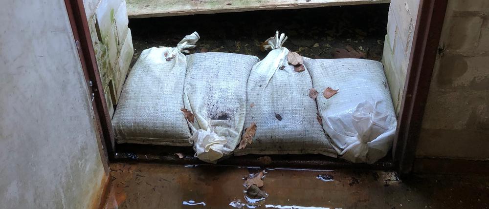 Druck von unten. Grundwasser dringt in einen Keller im Blumenviertel ein.