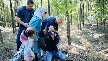 Festnahme von Migranten an der ungarisch-serbischen Grenze (Archivbild von 2015)