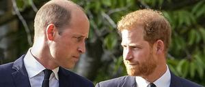 Die Brüder Prinz William und Prinz Harry