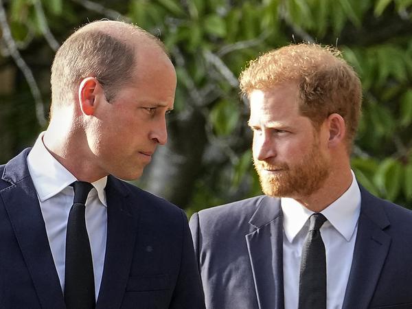 Die Brüder Prinz William und Prinz Harry